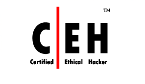certified_ethical_hacker.gif